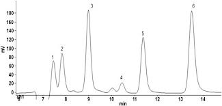 Image result for Salacia kraussii