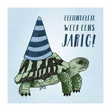 Verjaardagskaart Schrikkeljaar Met Schildpad En Kaartje2go