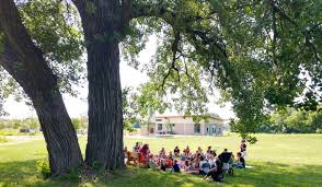 Download cottonwood tree images and photos. Learn About Our Amazing Cottonwood Trees Woods Of Wonder Learning Series Nature At The Confluence
