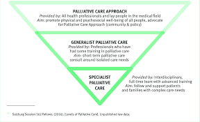 Though curative and palliative measures include families, hospice care emphasizes the welfare of families. Levels Of Palliative Care 11 Download Scientific Diagram