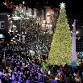 Christmas Tree Lighting on the Square