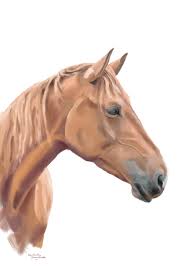 Check spelling or type a new query. Draw Realistic Art Portrait Of Your Horse By Stamatiades Fiverr