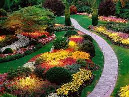 Come abbellire la casa con le piante e' una pianta autunnale sempreverde che non può mancare nei giardini dove si ricerca un tocco di. Cespugli Da Giardino Fioriti Sempreverdi I Nostri Consigli
