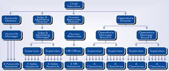 organisational structure developing an effective