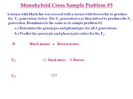 What is the probability of getting homozygous offspring? Mendelian Genetics Inheritance Lecture Notes Biol 100 K Marr Ppt Download
