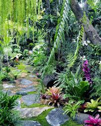 Kawan Emco Gemar Berkebun Yuk Coba Style Taman Hutan Tropis Ini Kombinasikan Aneka Jenis Tanaman Mulai Pohon Semak Hingga Pakis Tanaman Tropis Taman