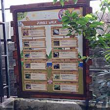 Farm in the city (fitc) is a petting zoo which portrays a unique concept that combines the elements of wildlife with nature set in a designed environment of a conservation park. A Day With Animals Farm In The City åŸŽã®å†œåœº I M Saimatkong