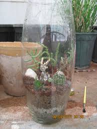 Image result for ‫تراریوم‬‎