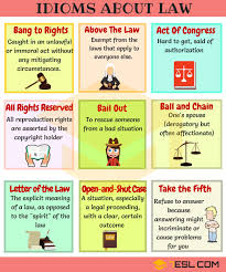 Useful Idioms About Law And Politics In English 7 E S L English Idioms Idioms Idioms And Phrases