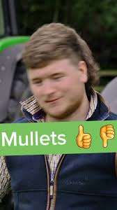 The Great Mullet Debate: Dodge It or Love It?