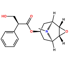 Image result for Scopolamine