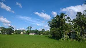 There are a lot more genius things that can be set. Bangladesh Village 1080p 2k 4k 5k Hd Wallpapers Free Download Wallpaper Flare