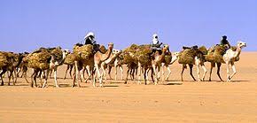 Terms in this set (10). Desert Wikipedia