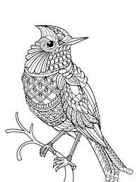 Click any coloring page to see a larger version and download it. Birds Coloring Pages For Kids And Adult