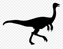 Velociraptor Dinosaur Silhouette Gallimimus Drawing Clipart Dinosaur Silhouette Png Transparent Png 835826 Pinclipart Dinosaur outline dinosaur template dinosaur silhouette dinosaur drawing dinosaur pattern pterodactyl dinosaur silhouette png image. clipart dinosaur silhouette png