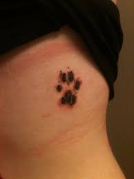 We get great and unusual images of fluffies that perfectly emphasize their. Real Cat Paw Print Tattoo Inked From My Beloved Zeus After 19 Long Years Rest In Peace Catpaw Tattoo Rip C Cat Paw Print Tattoo Paw Print Tattoo Tattoos