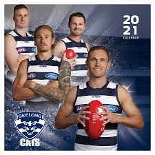 Afl Geelong Cats Wall Calendar 2021 Big W