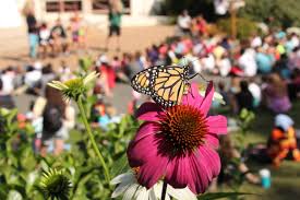 Wedding bouquets, wild flowers, natural beauty. Outragehisss Pets And Open House The Nature Place