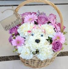 Jaula decorada con flores naturales. Como Hacer Un Arreglo Floral Para Decorar Espaciohogar Com