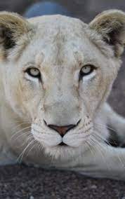 Pin On Travel Destinations