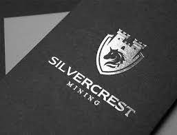 Foil conveys a sense of prestige and luxury; Foil Stamped Business Cards Gold Silver Cooper Business Cards Xpresscolor Com