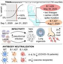 The structural analysis of rbd mutations l452r and e484q along with p681r in. Eric Topol Pa Twitter What We Know About The L452r Mutation Which Is Shared By Both The B 1 429 Ca B 1 617 India Variants 20 More Infectious Higher Viral Loads Some Immune Evasion