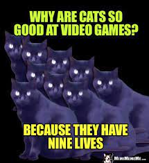 Cat Riddle Why Are Cats So Good At Video Games Because They Have Nine Lives Funny Cat Memes Cat Jokes Cat Memes
