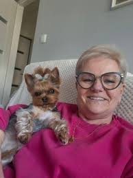 Cold autumn morning. After Nina peed in the backyard, who said this little  old lady wants to know anything other than escaping the cold?