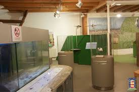 Nationalparkhaus Greetsiel Alles Rund Um Das Unesco Weltnaturerbe Wattenmeer Diemitdemleuchtturm Www Greetsiel De Wattenmeer Nationalpark Veranstaltung