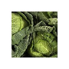 Image result for hlávková kapusta