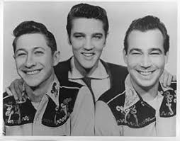 Elvis Presley: A Southern Life: Williamson, Joel: 9780199863174:  Amazon.com: Books