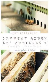 Comment Aider Les Abeilles Une Julie Verte Boutique Blog Zero Dechet Abeille Abeilles Sauvages Blog Zero Dechet