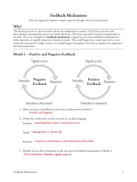 Pogil worksheet answers 1 youtube. 27 Feedback Mechanisms Pogil Key Feedback Thermoregulation
