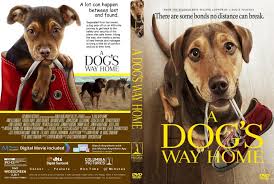 Children playing ball game with dog. A Dog S Way Home 2019 R1 Custom Dvd Cover Dvdcover Com
