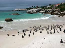 Garden route south africa guide to accommodation real estate and business for all towns in garden route and klein karoo. Best Time To Visit The Garden Route