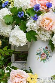 Monday morning wishes good night image morning pictures good morning flowers good morning sunrise good morning greetings good. Monday Morning Garden Blooms Mother Of Pearl Rose Home Is Where The Boat Is