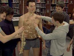 Silent library game is crazy (drinking) party game inspired by gaki no tsukai, mtv show and other crazy stuff. Watch Silent Library Season 1 Prime Video