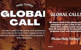Bunun üzerine kullanıcılar, ''global call help turkey nedir, ne demek?'' sorusuna yanıt aramaya başladı. Golyprn3b5o9km