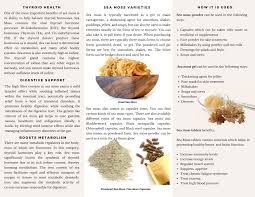 You can make a get out this sea plant and use it for various purposes. Wildcrafted Purple Sea Moss Gel It S Electrik