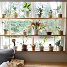The stunning clear shelves and steel. Fyi Window Plant Shelves Are Trending And We Can See Why Hunker Window Plants Hanging Plants Plant Shelves