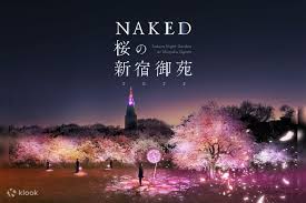 NAKED Sakura Night Garden at Shinjuku Gyoen 2023 Admission in Tokyo - Klook  United States