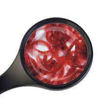 Vers De Vase Vivants En Sachet Pour Poissons Et Invertebres D Aquarium