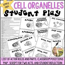 What limits cell size ? Cell Organelles Play Script To Act Out The Functions Of An Animal Cell Cell Organelles Organelles Animal Cell