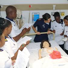 Cmc vellore, cmc ludhiana, jipmer puducherry, pgimer chandigarh, kle university belagum, bhu varanasi. Faculty Of Nursing And Ancillary Healthcare Fnah