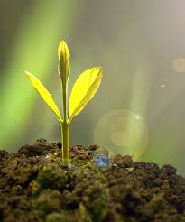 Nicht ohne grund ist das telefonbuch die nummer 1, wenn es um telefonnummern und adressen geht. Garten Und Landschaftsbau Munchen Experte Greve Dierfeld