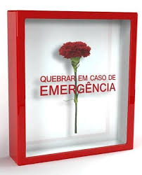 A revolução do 25 de abril como um património seu. 23 25 De Abril Ideas History Of Portugal Portugal Carnations