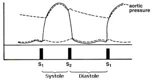 techniques heart sounds murmurs exam physical