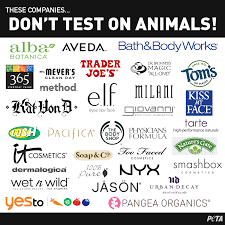 This guide from logical harmony has you covered. Common Cruelty Free Beauty Brands Kassy Rose Makeup Artistry