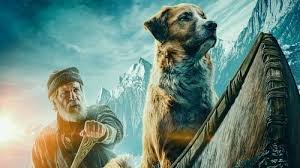 Sinema Video Film Izle Panosundaki Pin