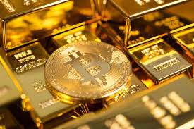 And the next bitcoin halving, which we referred to above, will occur in may 2020. Next Bitcoin Rally Will Set Hair On Fire Asia Times Financial